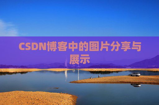 CSDN博客中的图片分享与展示